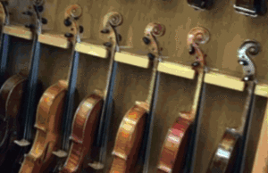 Auf der Spur der Stradivaris