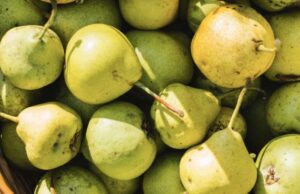 Essay: Die Mostbirne. Plus Rezept!