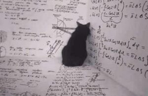 Willkommen in der skurrilen, wunderbaren Welt der Quanten