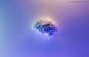 Warum die Marktwirtschaft nicht das Problem für den Klimawandel ist