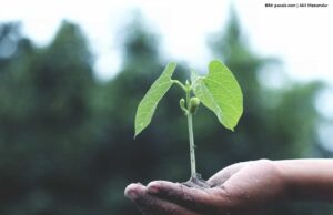 ESG: Warum die Versäumnisse der Wirtschaft eine Belastungswelle bringen