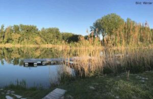 Fluchtpunkt: Die Klosterneuburger Stelzensiedlungen