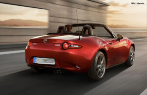 Über das Soulredrote im neuen Frühling