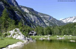 Die „Seewiesn“ hinten drin am Altausseersee
