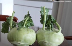 Frühling, Fasten, Fritz. Und gutes Essen.