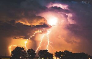 Shitstorms und andere Dummheiten