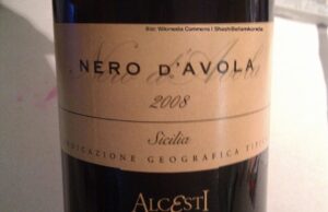 Die poetische Tiziana