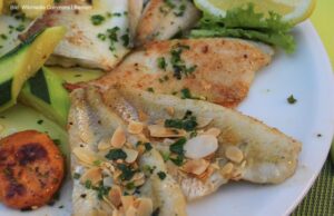 Fritzfasten mit einem Attersee-Saibling