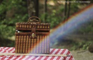 Was Fritz in seinen Picknickkorb gibt, und warum