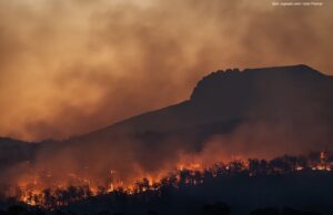 Auf dem Weg zum Hitze-Bonus