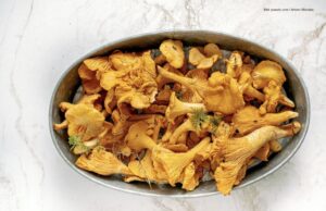 Eierschwammerl-Zubereitung: Regeln made by Fritz