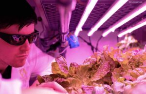 Wissenschaft ernst nehmen? Nicht bei Leonore Gewessler