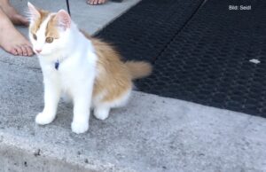 Schrödingers Reise, Teil 3: Im Segelclub