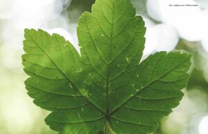 ESG: Das ist eine Warnung