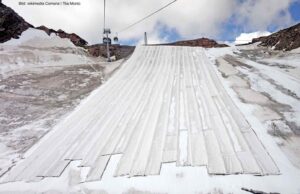 Die Ökonomie aus Omas Küche