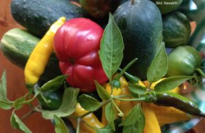 Fritz und die schnelle Verwertung der späten Ernte