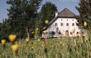 Almtal-Sacherl gegen Großstadttrubel