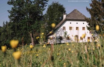 Almtal-Sacherl gegen Großstadttrubel