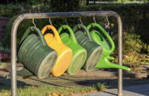 Von Gießkannen, Unwörtern, Enttäuschungsgangs und unsäglichen Partien