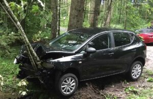 Der Baum, die Weihnachtsfeier und: Sie