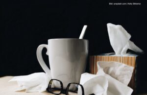 Fritz grippt und kocht im Kopf