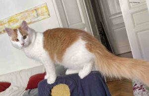 Schrödingers Bilanz des Jahres