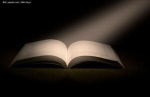 Haben Sie viel erlebt, möchten Sie darüber erzählen?