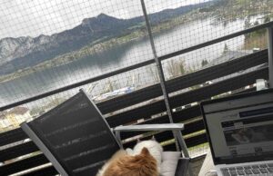 Schrödinger by the Lake