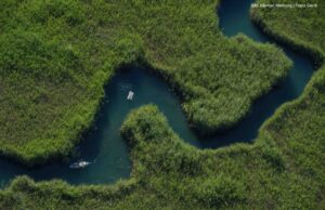 Die Schilfzone am Faaker See