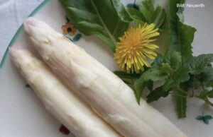 Fritz spargelt sich durch den Tag