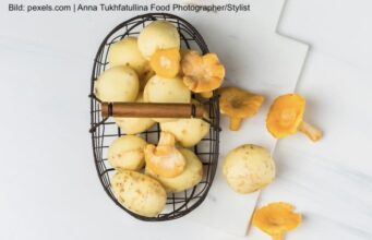 Dritter Teil: Fritz drängt die Kartoffel in eine Nebenrolle