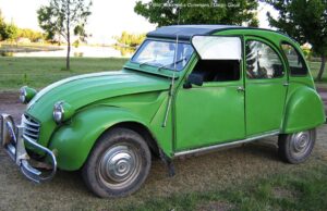 Vom Crash-Ritmo und der Liebe zum Erpel Nikolaus