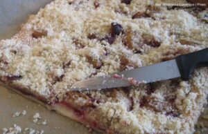 Der Herbstfritz und der Zwetschkenfleck