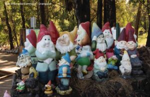 Auf die Kleinen kommt es diesmal an