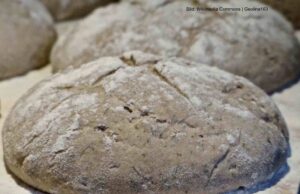 Sonntagsfritzersatz: Brot