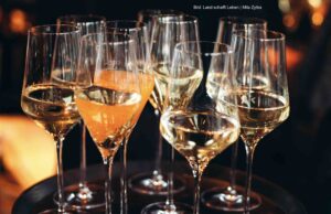 Silvester-Kater – was wirklich dagegen hilft