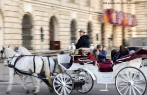 Die Zeit fokussierter Unintelligenz in Wien