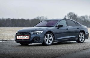 Der Staatssekretär und sein Auto