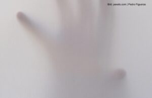 Der Föderalismus-Geist