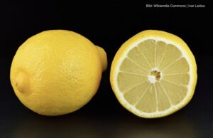 Liebe Politiker, spart bei der Pensionserhöhung