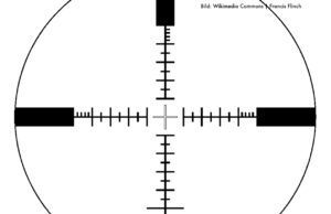 Ist es neuerdings wieder erlaubt, Tyrannen zu töten?